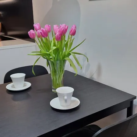 Location In Daire Oulu